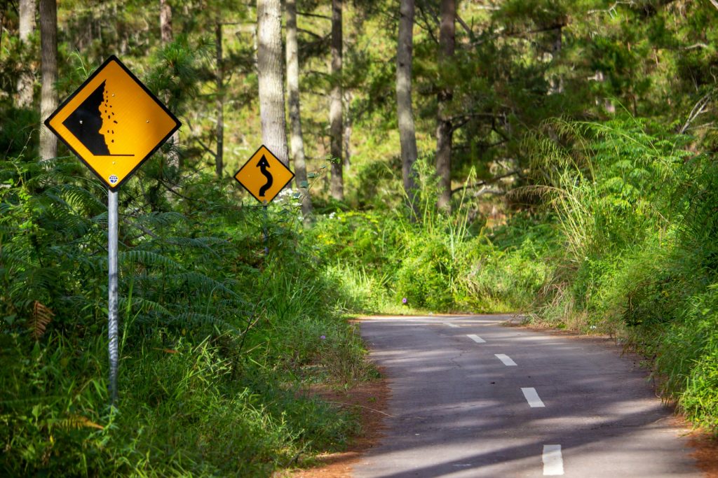 a scenic, winding road with a couple caution signs