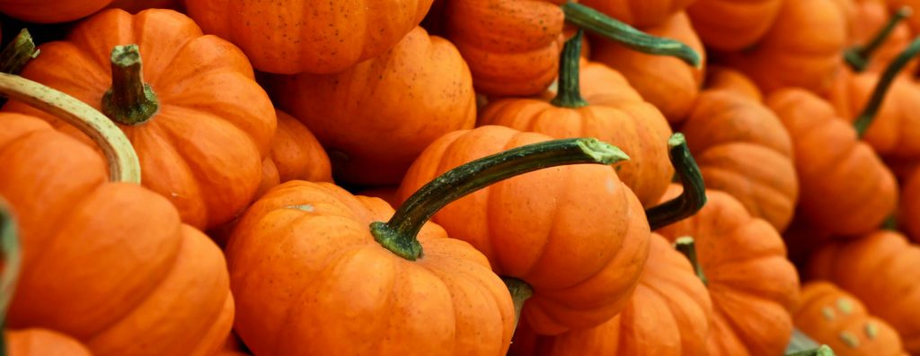 a pile of small pumpkins