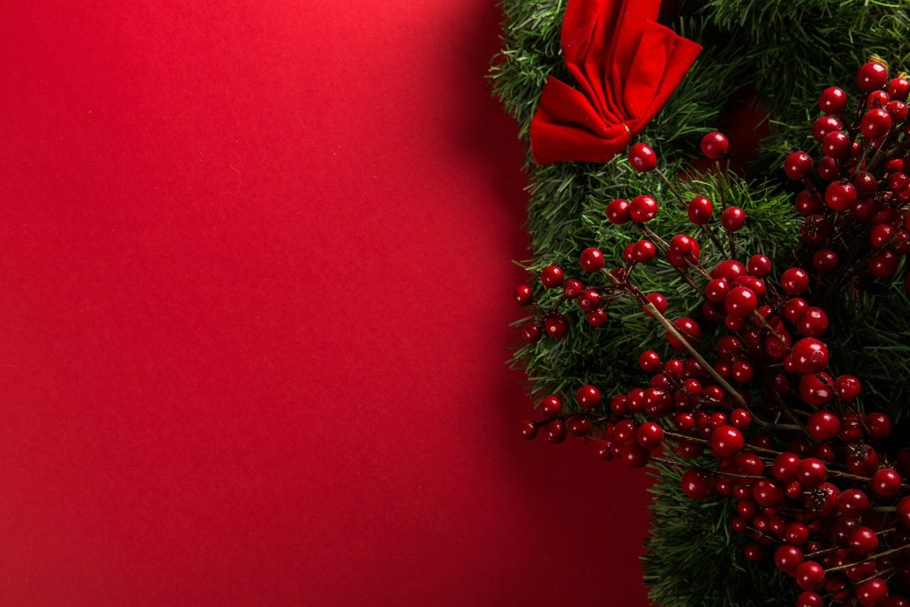 holly in front of a red background